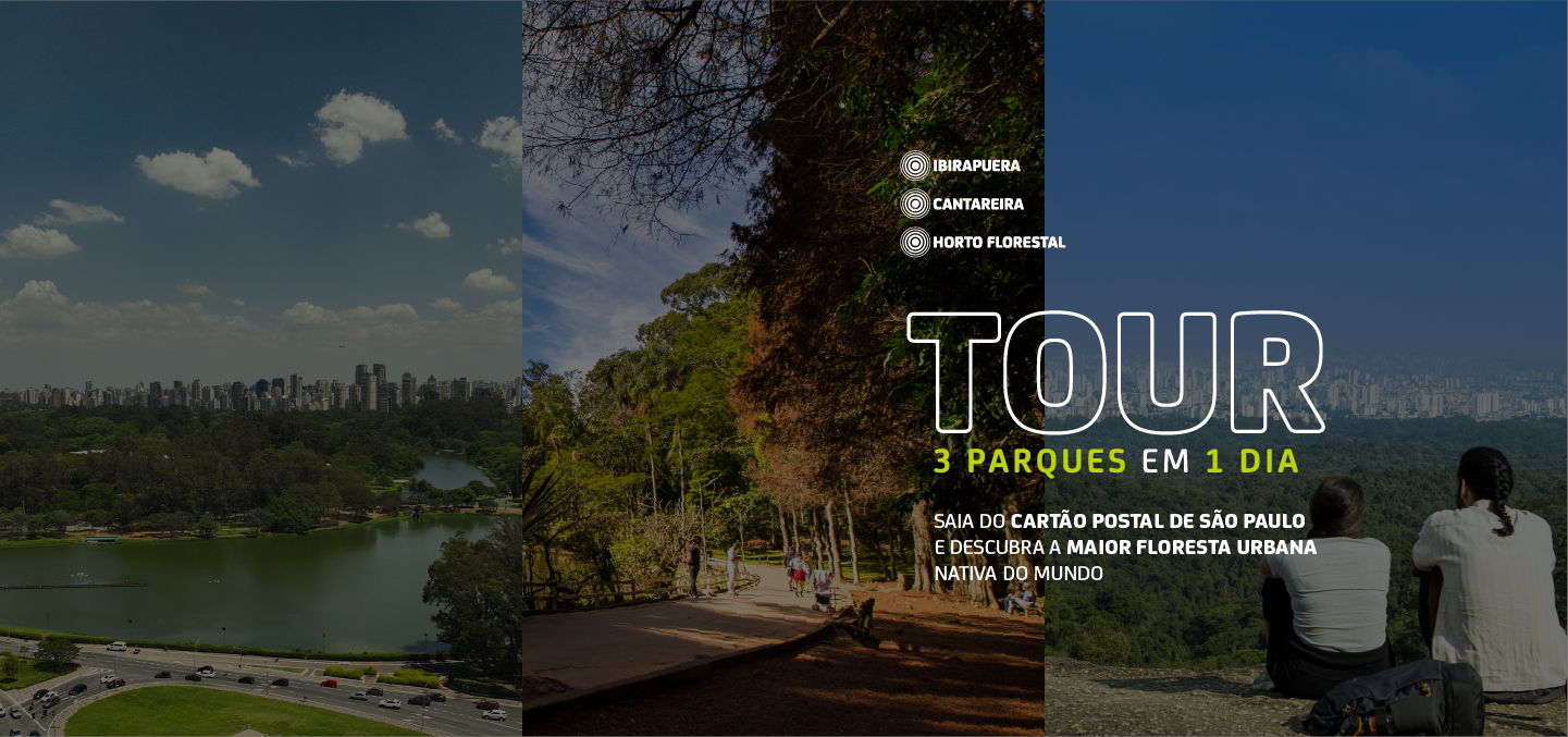 Descubra a natureza urbana em uma experiência guiada ao Ibirapuera, Horto Florestal e Cantareira