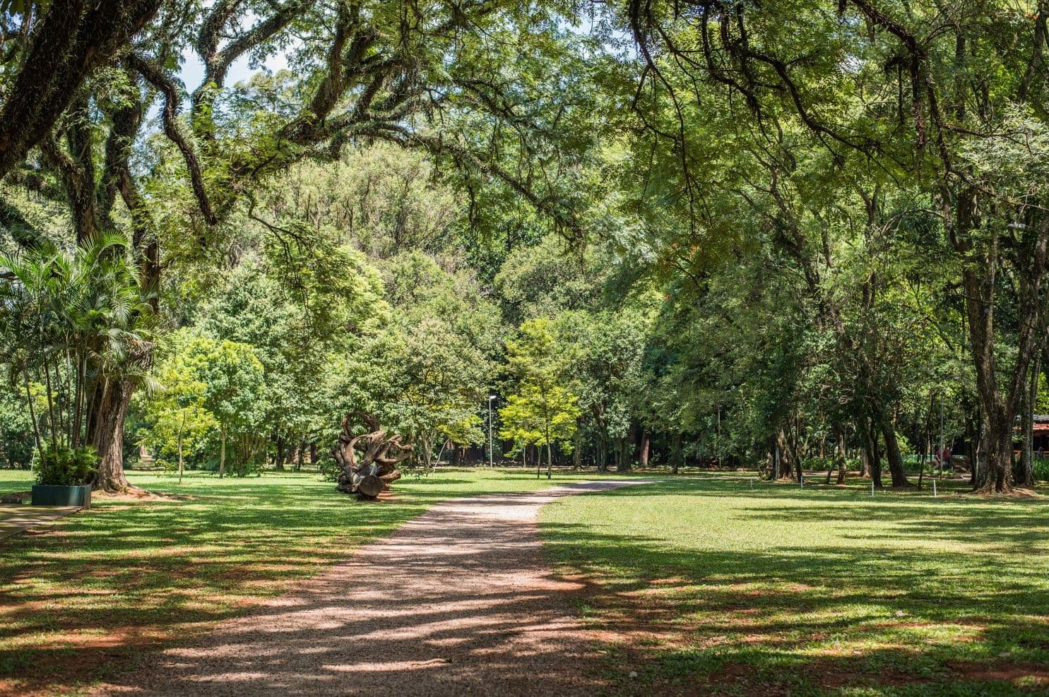 Urbia apresenta programação de 23 a 28 de agosto do Parque Ibirapuera